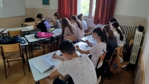 pripreme za malu maturu